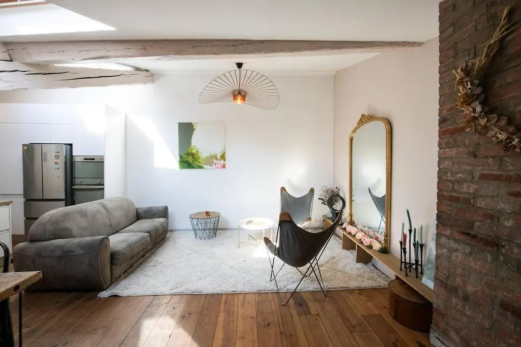 Le Mansart - Spacieux Appartement Avec Cachet Au Coeur De Λυών 0*,