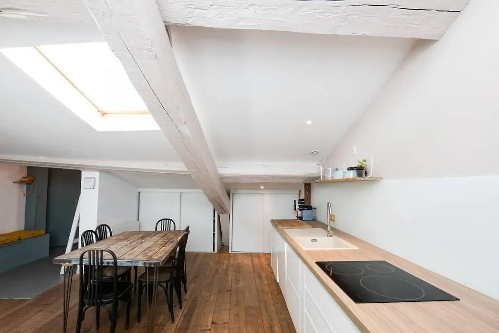 Le Mansart - Spacieux Appartement Avec Cachet Au Coeur De Lyon 0*,  France