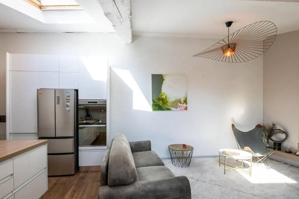 Le Mansart - Spacieux Appartement Avec Cachet Au Coeur De Lyon