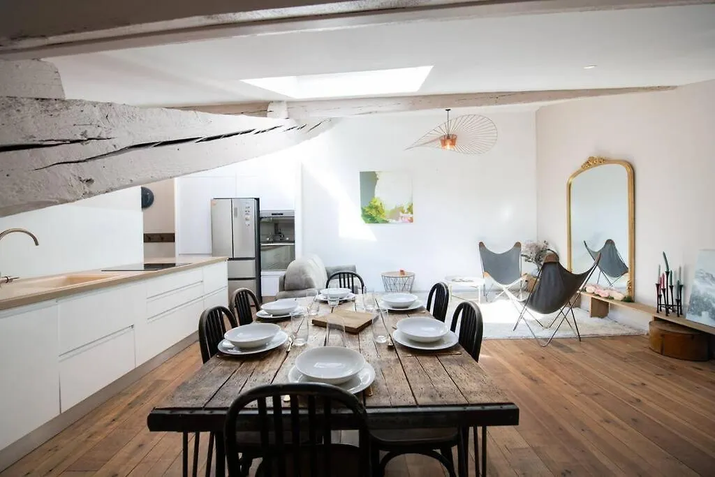 Apartment Le Mansart - Spacieux Appartement Avec Cachet Au Coeur De Lyon