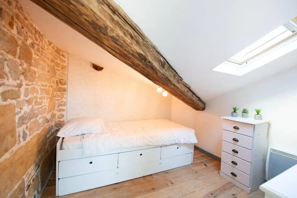 Le Mansart - Spacieux Appartement Avec Cachet Au Coeur De Lyon 0*,  Francie