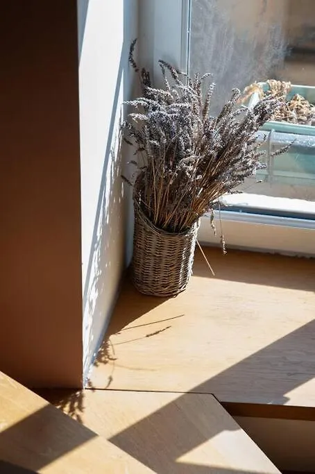 Le Mansart - Spacieux Appartement Avec Cachet Au Coeur De Lyon