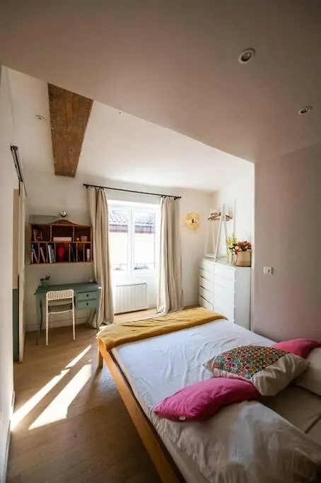 Apartment Le Mansart - Spacieux Appartement Avec Cachet Au Coeur De Lyon