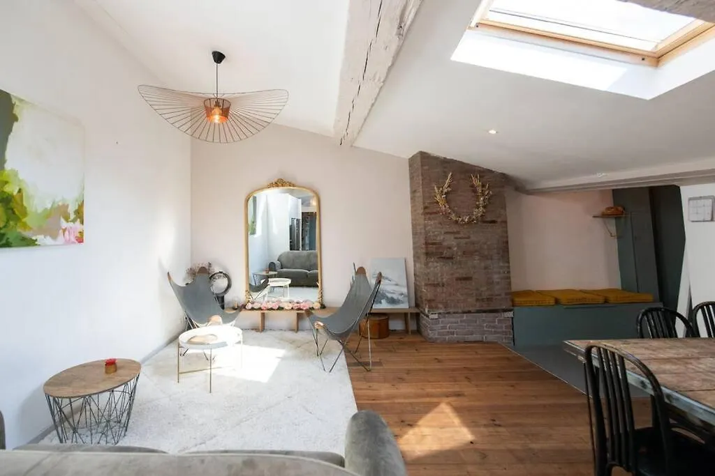 Le Mansart - Spacieux Appartement Avec Cachet Au Coeur De Lyon 0*,  France