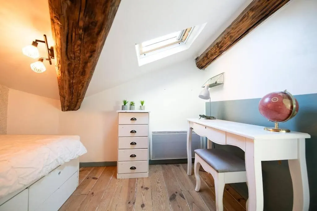 Apartment Le Mansart - Spacieux Appartement Avec Cachet Au Coeur De Lyon